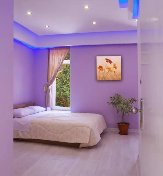 اقامت در کاشان